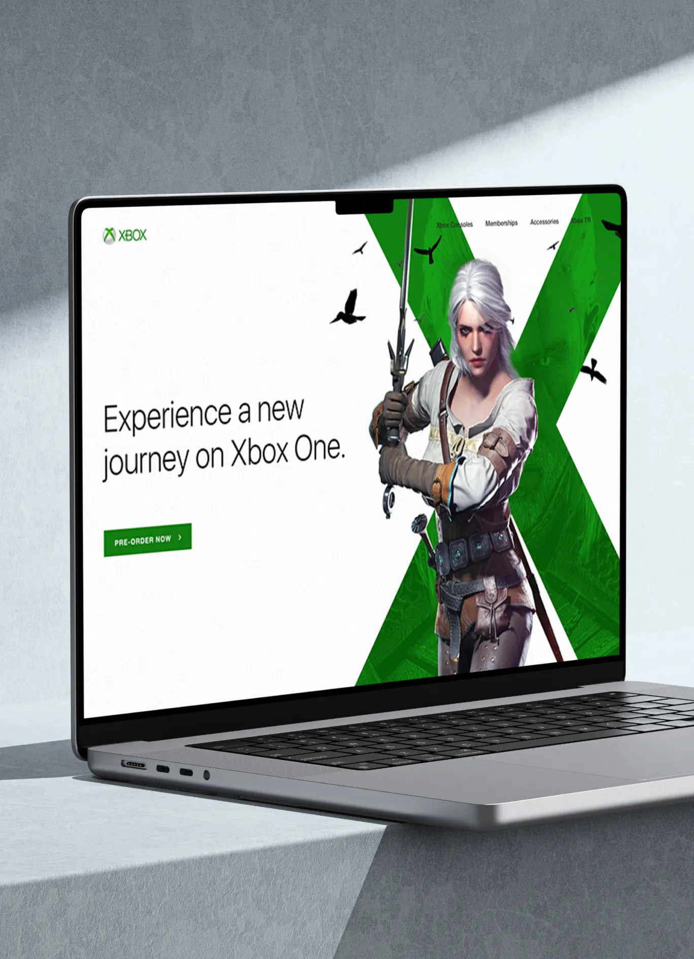 A landing page featuring a popular game character with a green background and pre-order button.